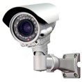 IP cameras