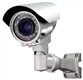 IP cameras